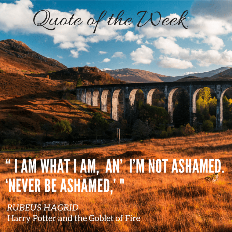 Social Media Post Example